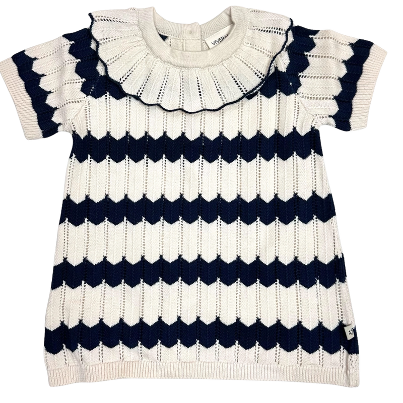 Navy & Ivory Knit Dress