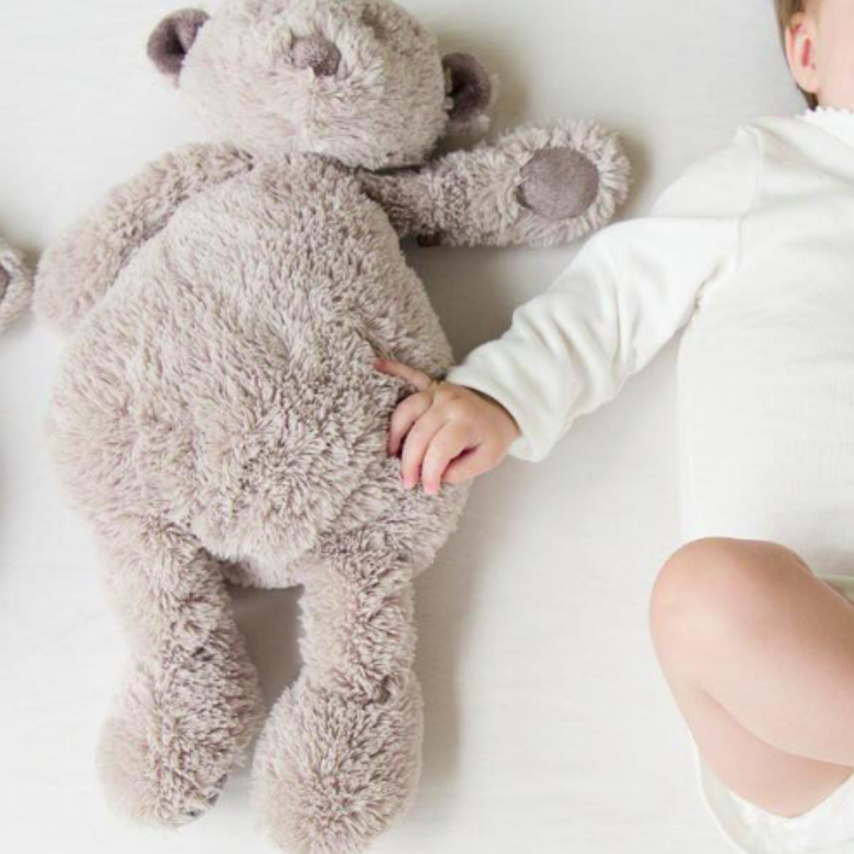 NOANN THE TEDDY BEAR GREIGE | Companion