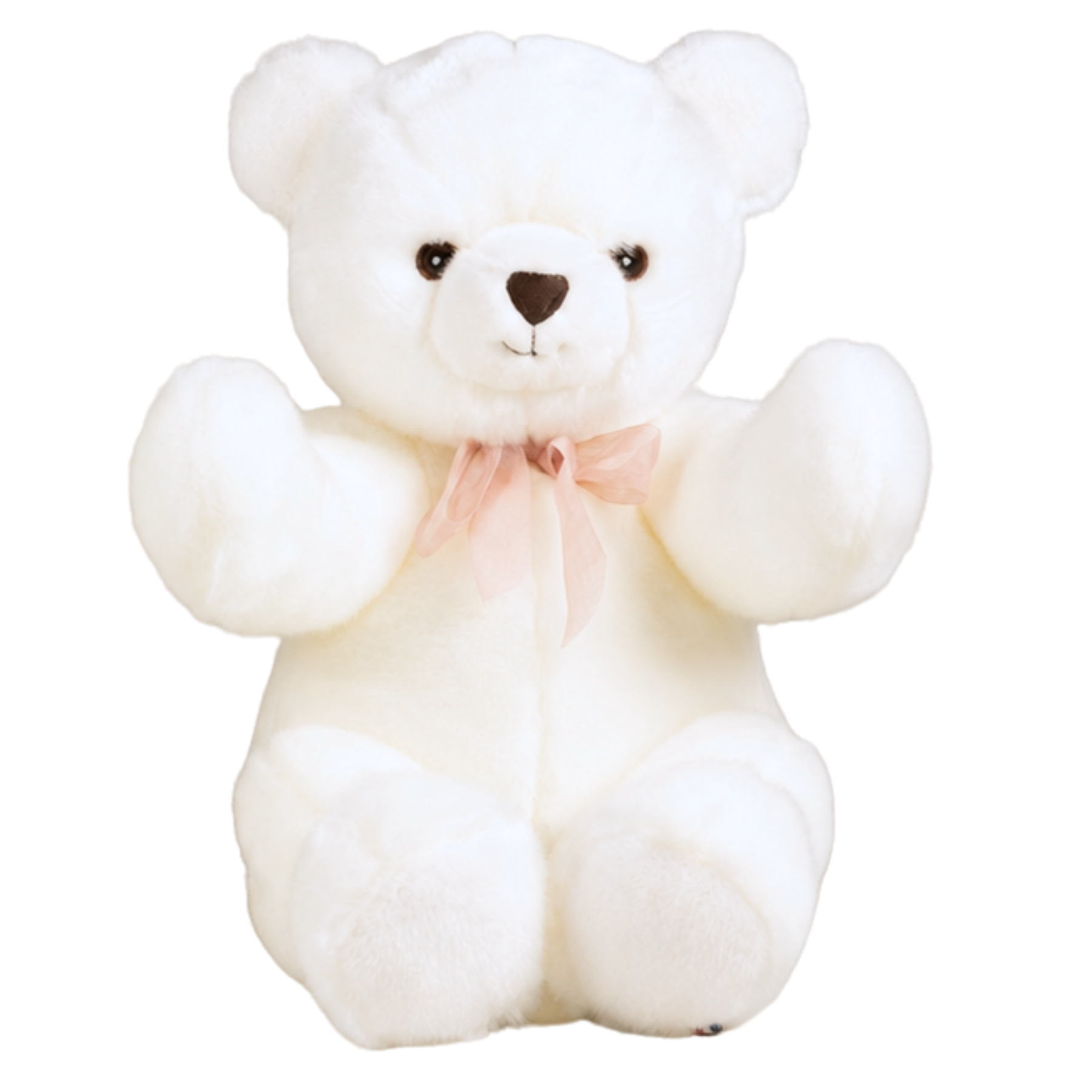 ROBERT THE TEDDY BEAR PINK | Pamplemousse Peluches
